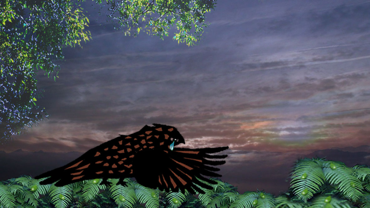 影絵動画「よだかの星」 影絵劇団 白つめくさ ブログ